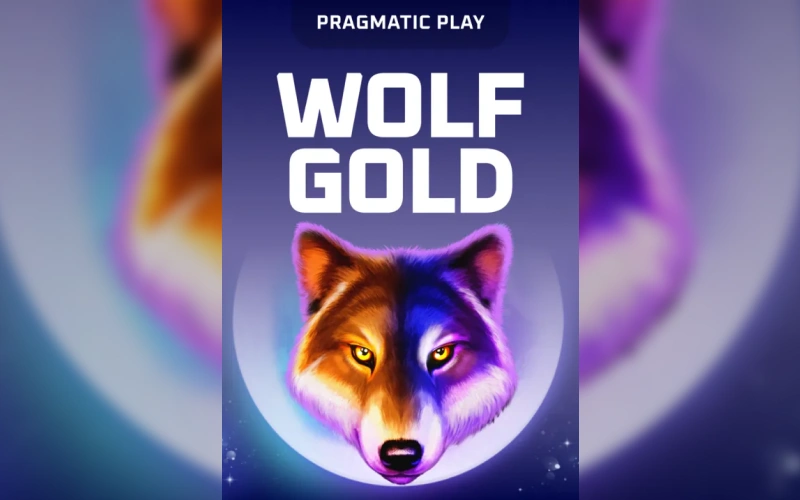 Explore Wolf Gold and its jackpot features on the Thrill platform.